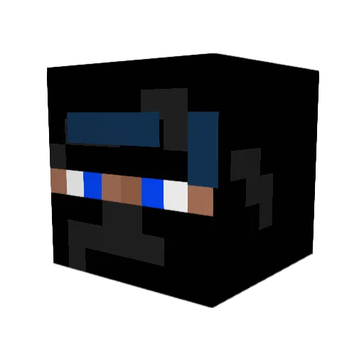 duck6279 Minecraft avatar head, 3D render