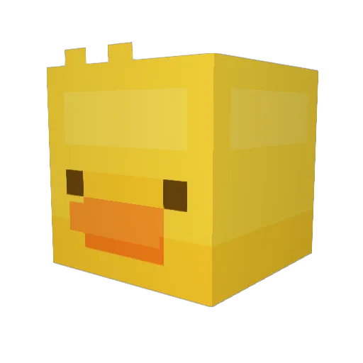 duck_JesusIsLord Minecraft avatar head, 3D render