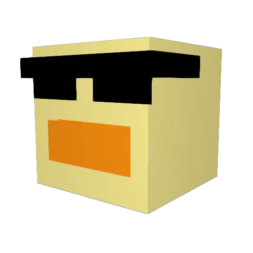 duck_is_daddy Minecraft avatar head, 3D render