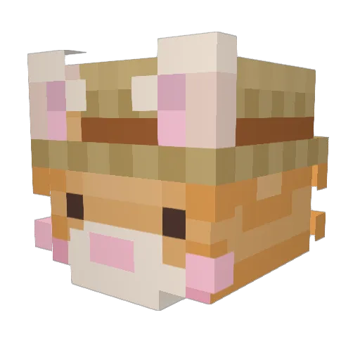 duck_oh Minecraft avatar head, 3D render