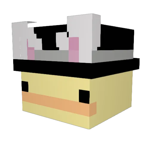 duck_with_a_hat Minecraft avatar head, 3D render