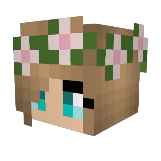 duckacorn Minecraft avatar head, 3D render