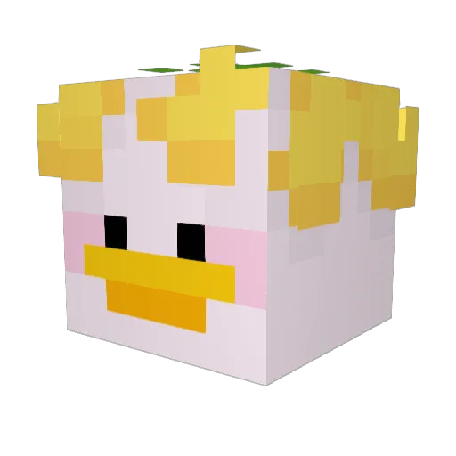 duckatini Minecraft avatar head, 3D render