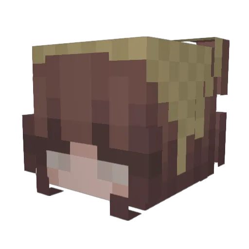 duckbaby Minecraft avatar head, 3D render