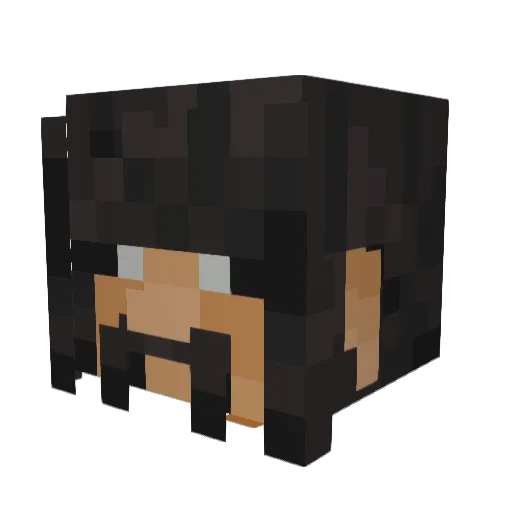 duckbro__ Minecraft avatar head, 3D render