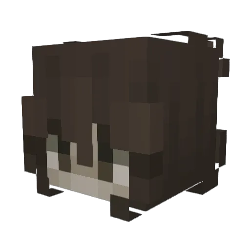 duckbutter100 Minecraft avatar head, 3D render