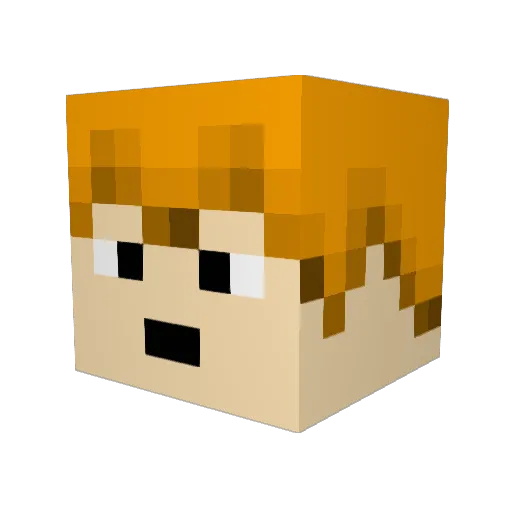 duckcord Minecraft avatar head, 3D render