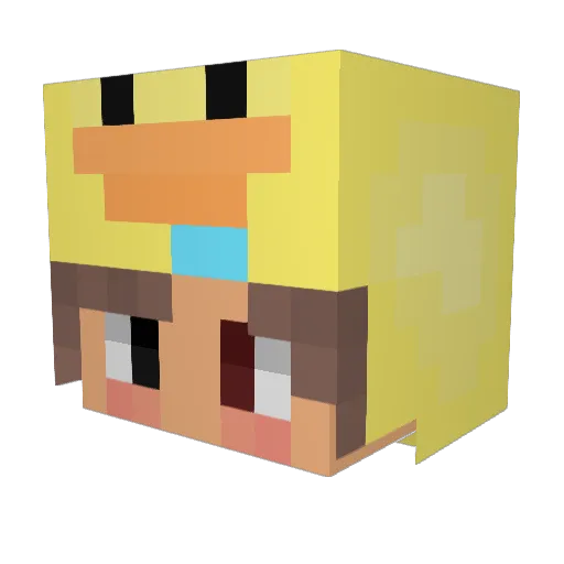 duckduckboom123 Minecraft avatar head, 3D render