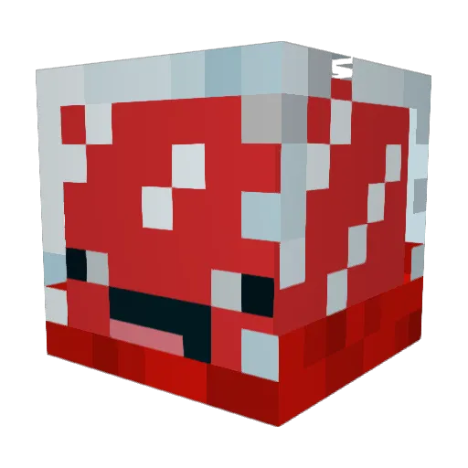 duckduckgoose06 Minecraft avatar head, 3D render