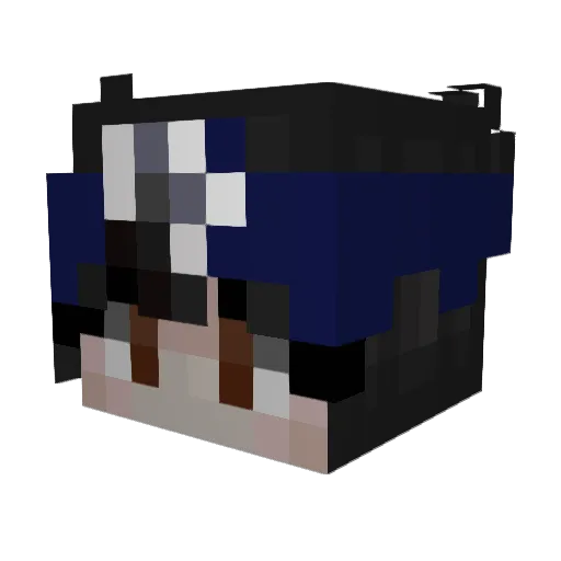 duckdude8D Minecraft avatar head, 3D render