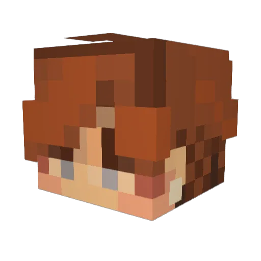 duckgod20129 Minecraft avatar head, 3D render