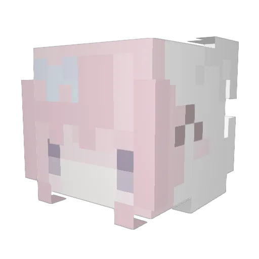 duckin_cool Minecraft avatar head, 3D render