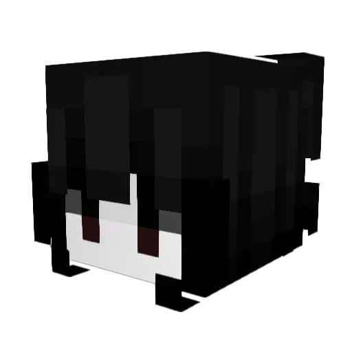 duckingthefeds Minecraft avatar head, 3D render