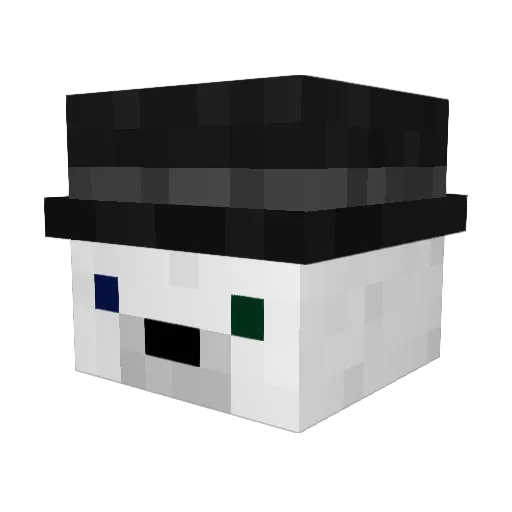duckk709 Minecraft avatar head, 3D render