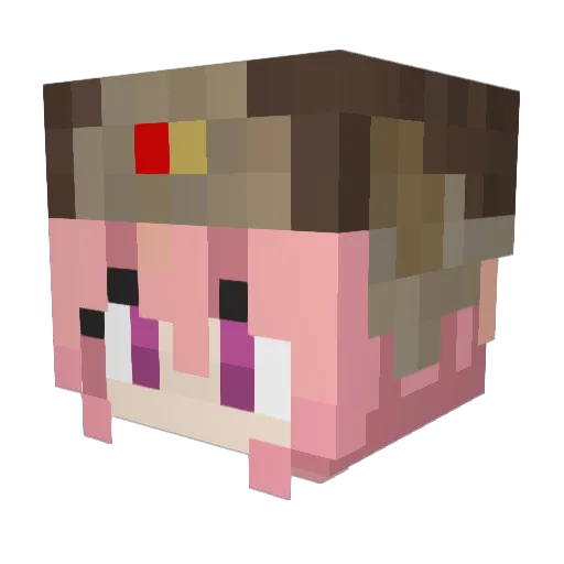 duckkingman1 Minecraft avatar head, 3D render