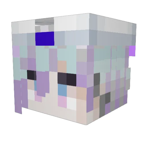 duckleduckle Minecraft avatar head, 3D render