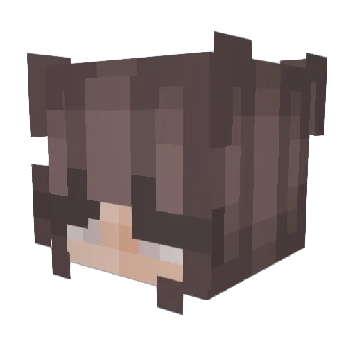duckliinq Minecraft avatar head, 3D render