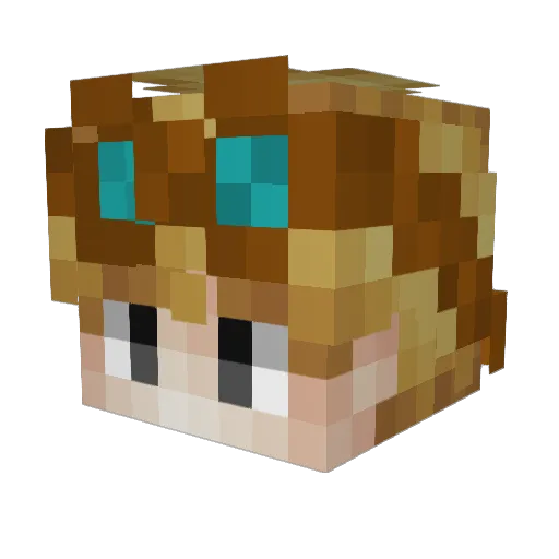 ducklord5000 Minecraft avatar head, 3D render