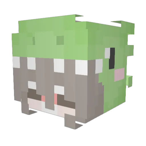 duckmaoo Minecraft avatar head, 3D render