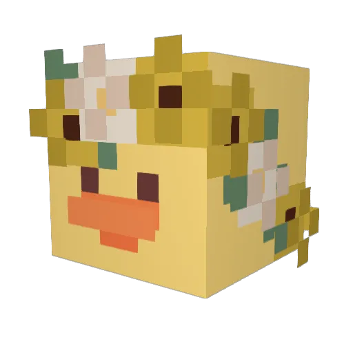 ducko_ko Minecraft avatar head, 3D render