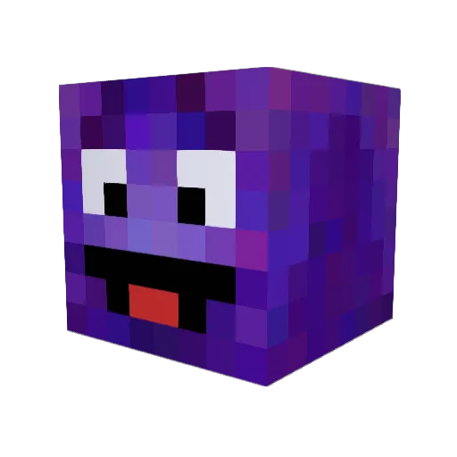 duckpower123 Minecraft avatar head, 3D render