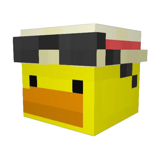 duckquack Minecraft avatar head, 3D render