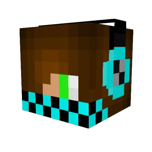 ducks2000 Minecraft avatar head, 3D render