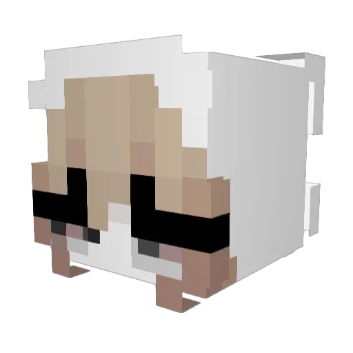 duckslushie Minecraft avatar head, 3D render