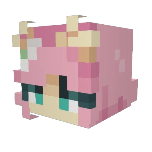 ducksmoke Minecraft avatar head, 3D render