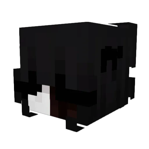 ducksnacktime Minecraft avatar head, 3D render