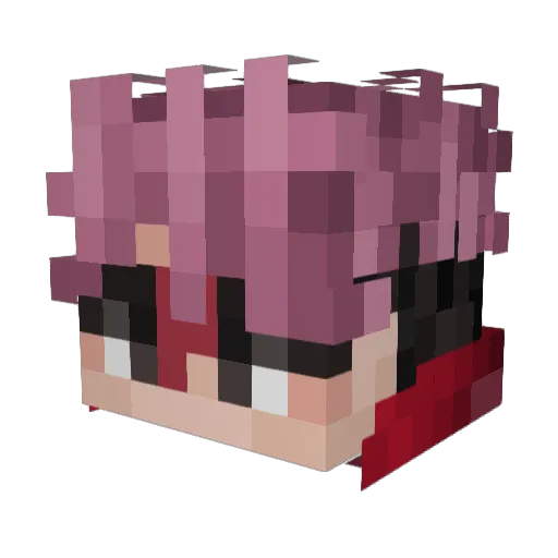 ducksterguy Minecraft avatar head, 3D render