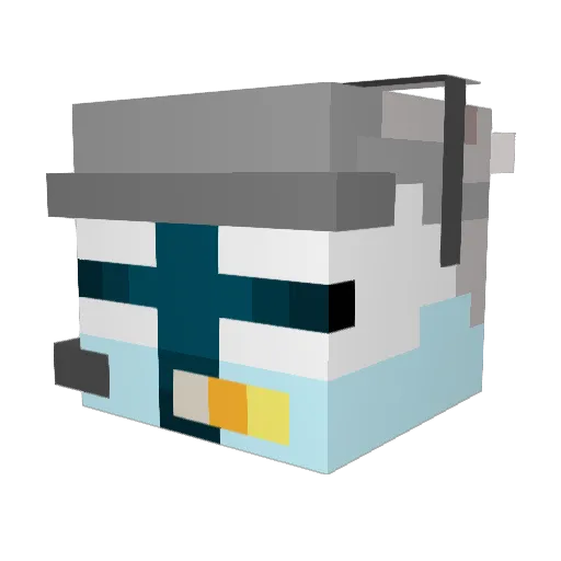 duckstrangler14 Minecraft avatar head, 3D render