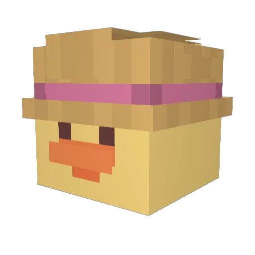 ducktd Minecraft avatar head, 3D render