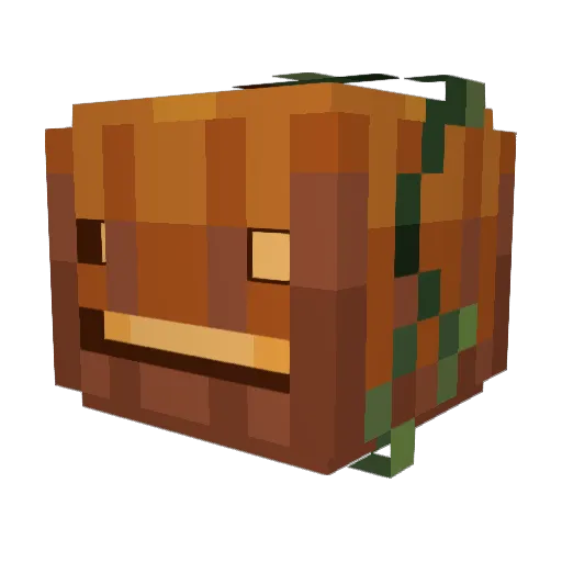 ducktective_ Minecraft avatar head, 3D render
