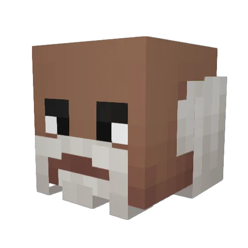duckworth14 Minecraft avatar head, 3D render