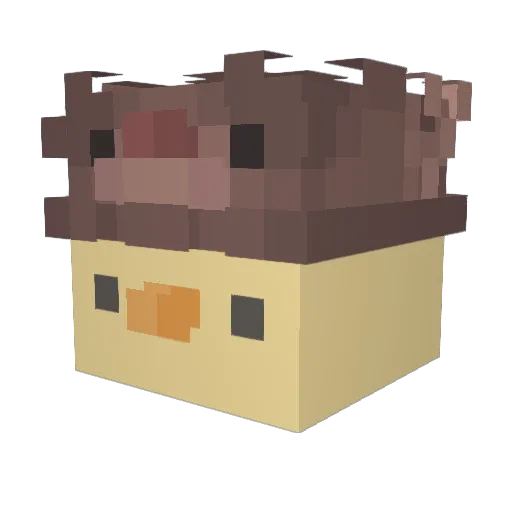 ducky09_ Minecraft avatar head, 3D render