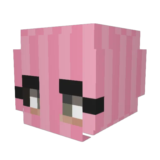 ducky115 Minecraft avatar head, 3D render