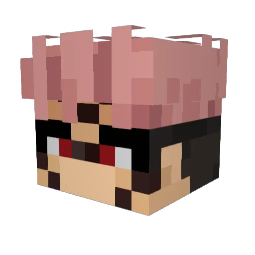 ducky3145 Minecraft avatar head, 3D render