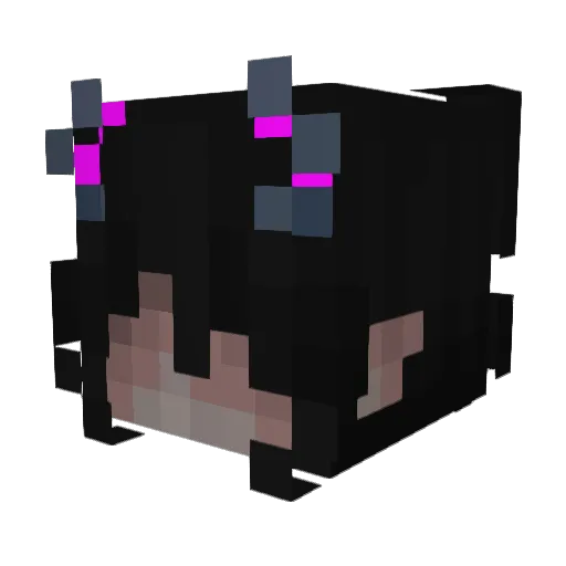 ducky400 Minecraft avatar head, 3D render