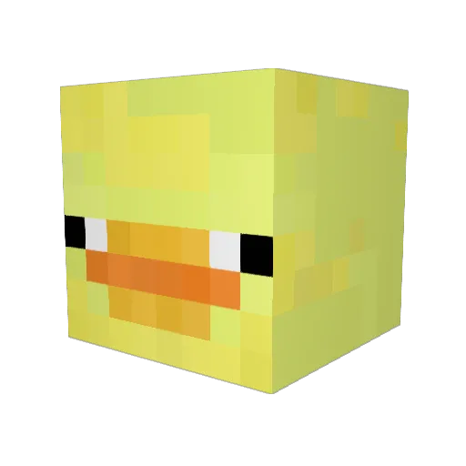 ducky8000 Minecraft avatar head, 3D render