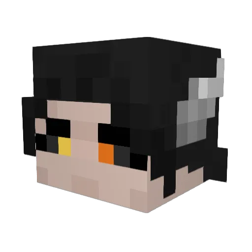 duckybiscotti Minecraft avatar head, 3D render