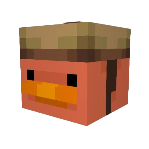 duckycute20 Minecraft avatar head, 3D render