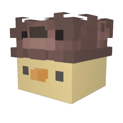 duckymgr Minecraft avatar head, 3D render