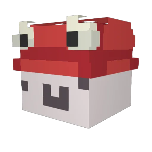 duckyyontop Minecraft avatar head, 3D render