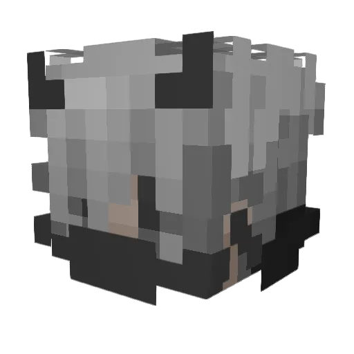 duckzoo Minecraft avatar head, 3D render