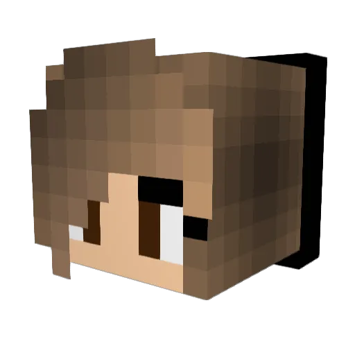 dudaecs_br Minecraft avatar head, 3D render
