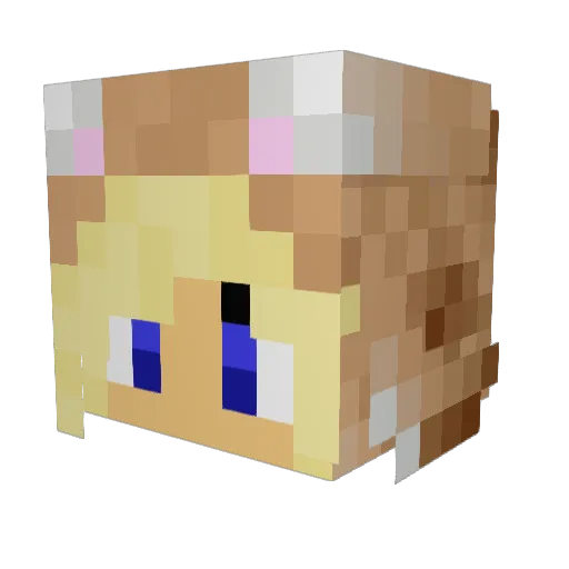 dude_01 Minecraft avatar head, 3D render
