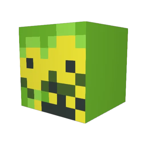 dude_bro_guy Minecraft avatar head, 3D render