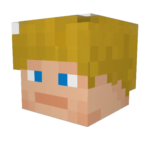 dudeguyc Minecraft avatar head, 3D render