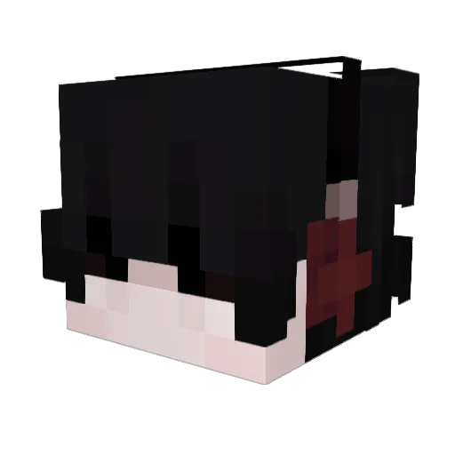 dudehowdoyoudie Minecraft avatar head, 3D render